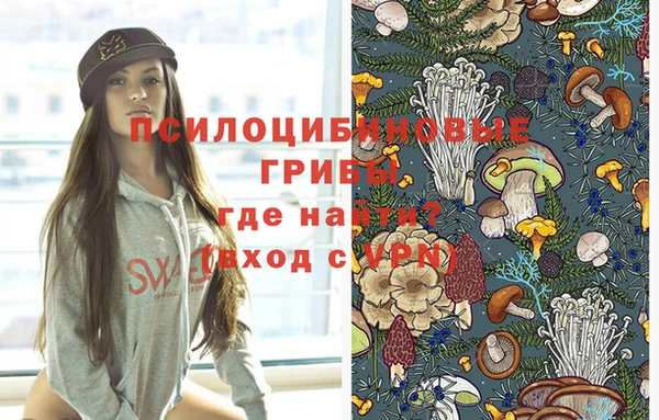 дурь Кулебаки