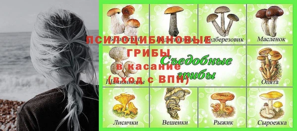 дживик Кукмор