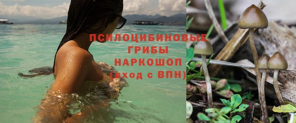 альфа пвп Куйбышев